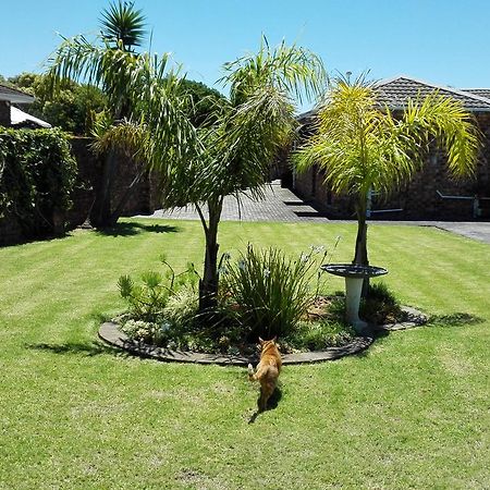 Humewood Home Stay Port Elizabeth Kültér fotó
